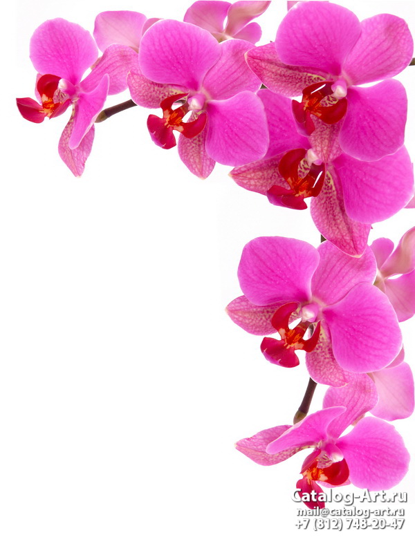 картинки для фотопечати на потолках, идеи, фото, образцы - Потолки с фотопечатью - Розовые орхидеи 78